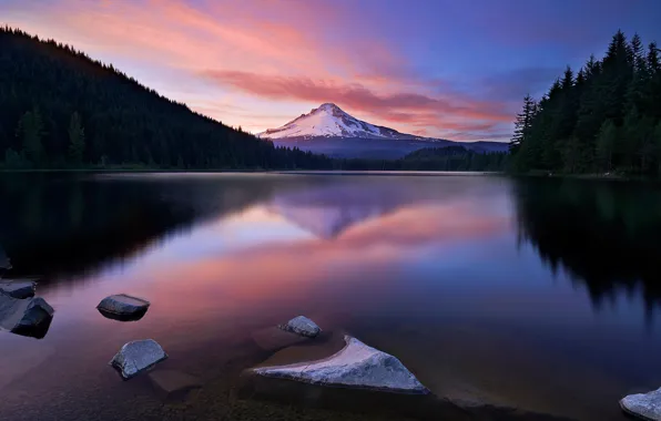 Forest, the sky, snow, lake, mountain, the evening, glow