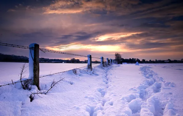 Picture winter, snow, sunset, traces, nature, the fence