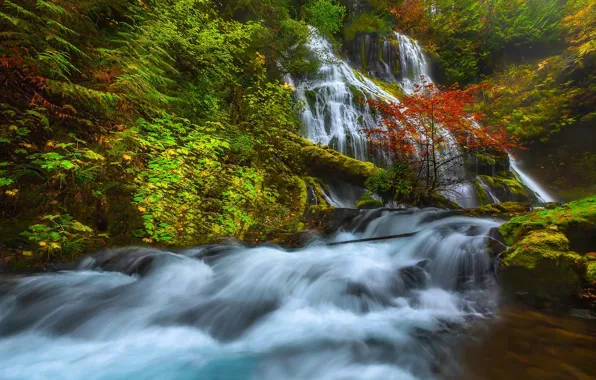 Picture autumn, trees, river, waterfall, stream, USA, Washington, Skamania