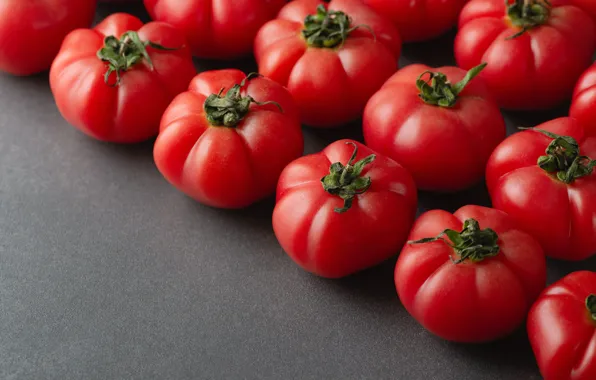 Red, grey background, tomatoes, tomatoes, in a row, decomposed, rows