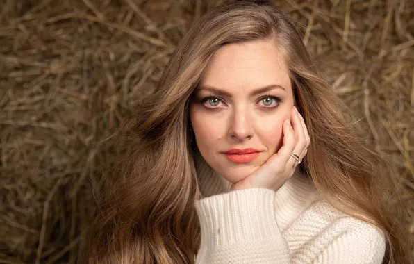 Look, girl, face, hair, actress, sweater, Amanda Seyfried