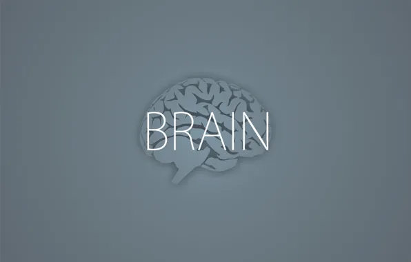 Picture the inscription, minimalism, grey background, Brain, brains