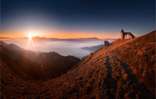 Forest, the sky, grass, the sun, rays, light, mountains, fog