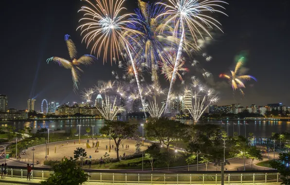 Night, the city, salute, Singapore, Singapore city