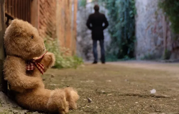Picture sadness, loneliness, toy, bear, bear, toy, bear, cute