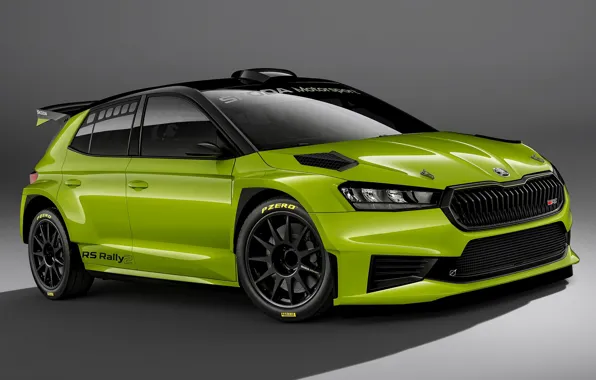 Picture grey background, Skoda, 2022, Rally2, Fabia RS