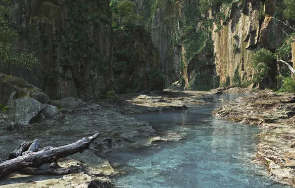 Spring, alen vejzovic, at the heart of the island, in the heart of the island