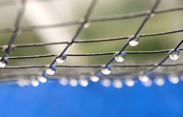 Picture drops, macro, background