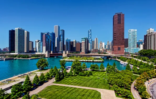 Grass, trees, skyscraper, home, Chicago, USA, Navy Pier, Navy pier