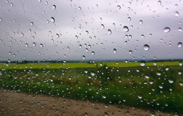 Picture field, the sky, drops, rain, window