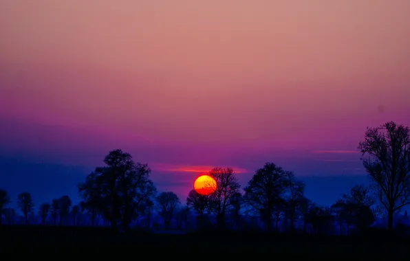 Trees, sunset, silhouette purple sky
