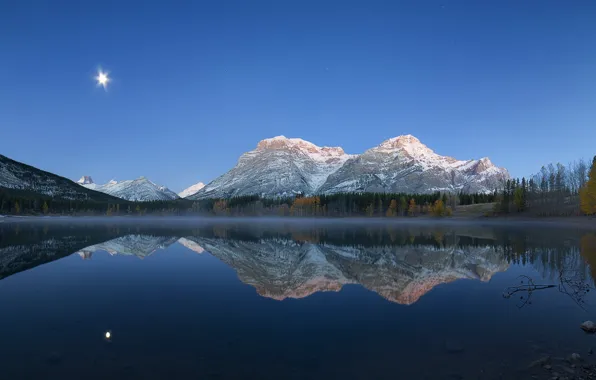 Forest, mountains, night, lake, reflection, the moon