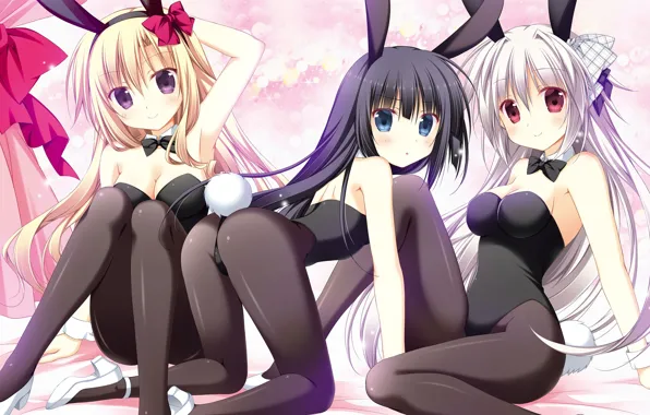 Girls, Rabbits, Trio, Juuoumujin no Fafnir