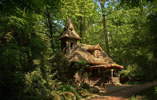 Picture greens, forest, home