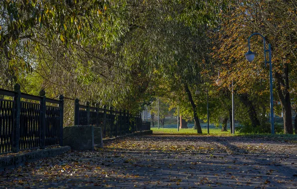 Autumn, leaves, Park, October, promenade