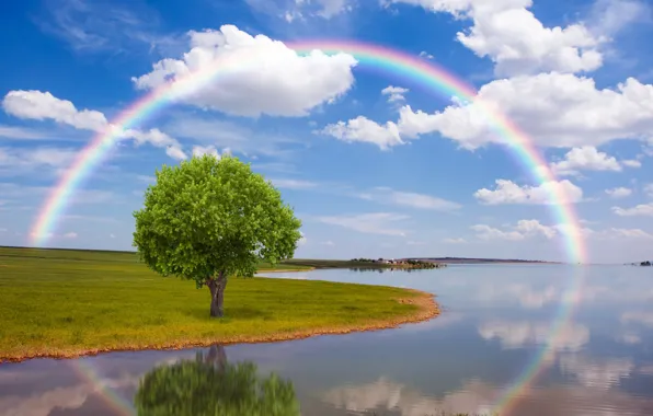 Field, nature, river, tree, rainbow