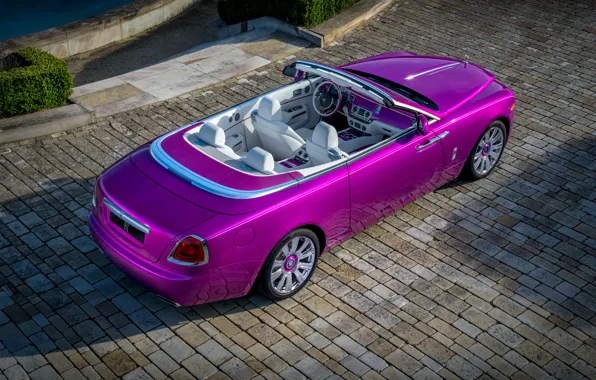 Auto, pink, shadow, Rolls-Royce, salon, Cabriolet, chic, Fuxia