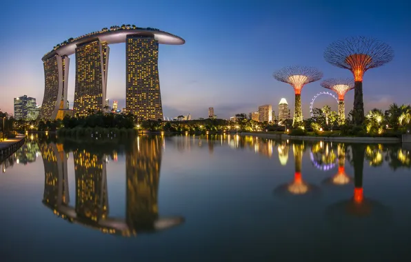 Sea, night, the city, lights, reflection, building, Singapore, Ferris wheel