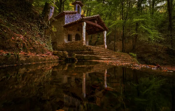 Forest, lake, pond, reflection, shore, Church, structure