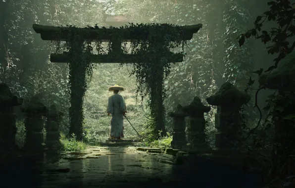 Thickets, katana, hat, samurai, lights, samurai, ivy, a stone path