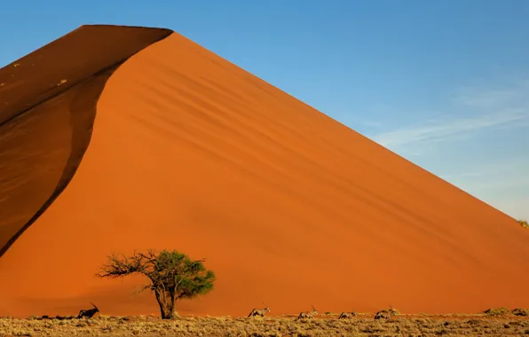 Sand, the sky, landscape, mountains