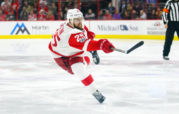 The game, Sport, Ice, Ice, Detroit, NHL, NHL, Hockey
