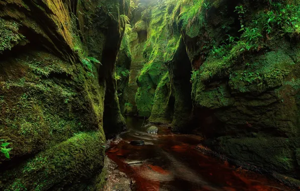 Picture greens, stream, stones, rocks, moss, Scotland, Finnich Glen