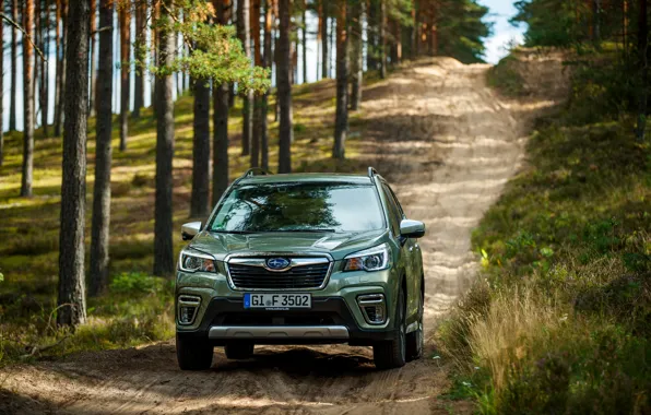 The descent, Subaru, crossover, Forester, 2019