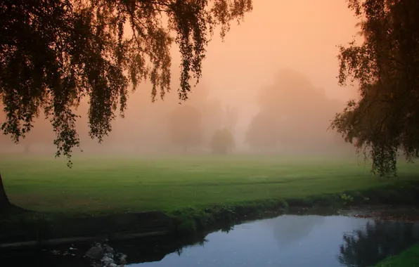 Picture nature, fog, morning, river