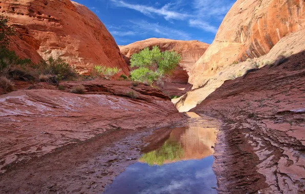 Picture the sky, lake, tree, rocks, canyon, gorge