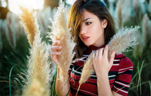 Grass, the sun, model, portrait, makeup, hairstyle, brown hair, blouse
