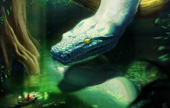 Snake, River, Forest, Boat, Jungle, Jungle, Fantasy, Snake