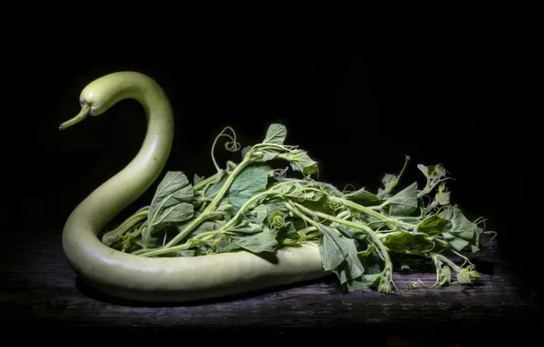 Leaves, table, stems, Board, pumpkin, Swan, black background, still life