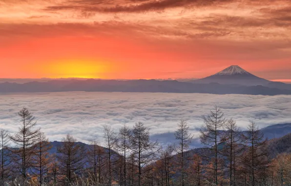 Autumn, forest, the sky, the sun, landscape, sunset, mountains, branches