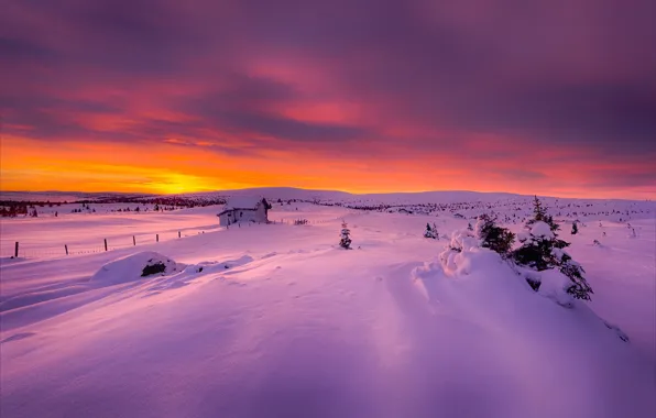Winter, light, snow, morning, Norway, house, December
