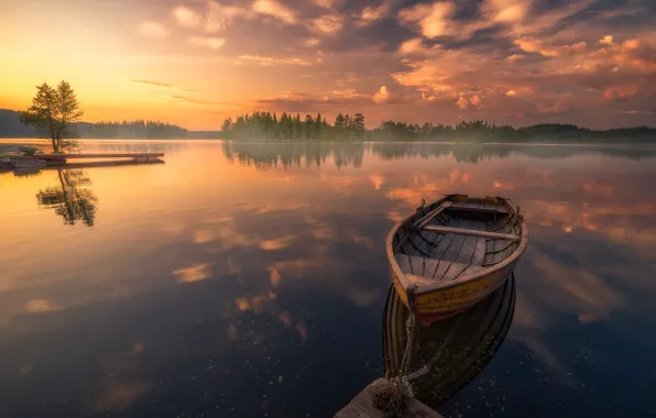 Picture trees, lake, reflection, sunrise, dawn, boat, calm, morning
