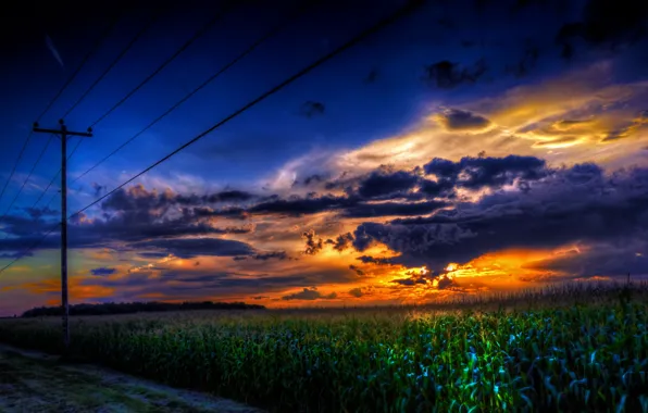 Landscape, sunset, wire, corn