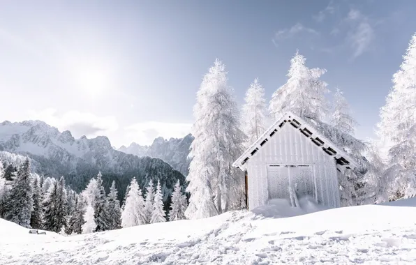 Winter, forest, the sky, mountains, hut, space, the snow, forest