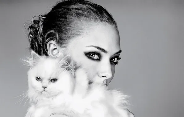 Cat, look, actress, Amanda Seyfried, b/W photo, Amanda Seifred