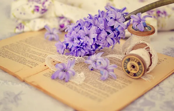 Flowers, petals, book, still life