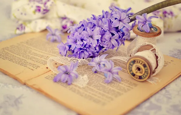 Flower, petals, book, still life