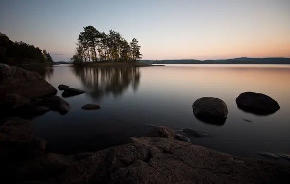 Nature, lake, morning