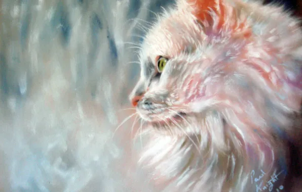 Cat, look, rain, window, muzzle, profile, white, painting