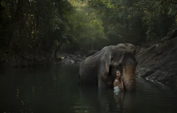 Forest, girl, river, model, elephant