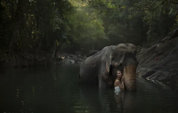 Picture forest, girl, river, model, elephant