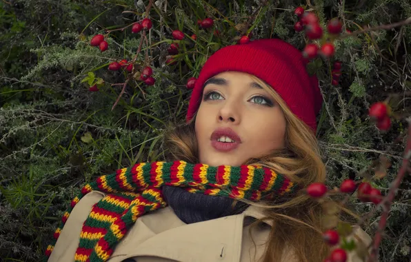 Autumn, look, girl, nature, pose, berries, glade, hat