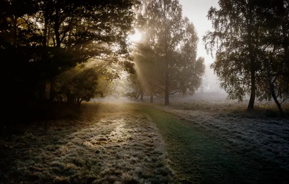 Frost, autumn, the evening