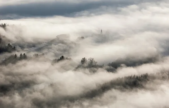 Picture forest, the sky, clouds, trees, landscape, nature, fog, horizon