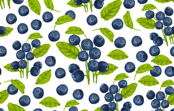 Picture background, white, blueberries, berries, texture