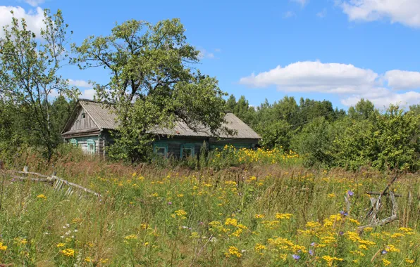 Sky, village, plants